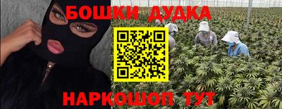 гидра Новозыбков