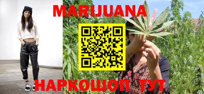 гидра Новозыбков