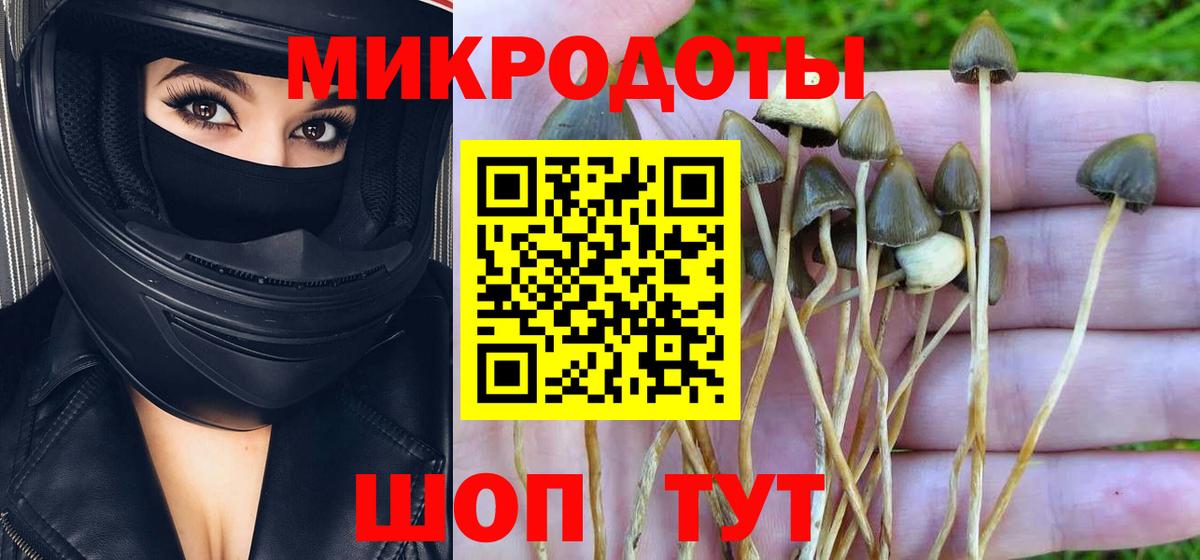 Галлюциногенные грибы мухоморы  Вход с VPN  Галлюциногенные грибы прущие грибы  Тобольск 